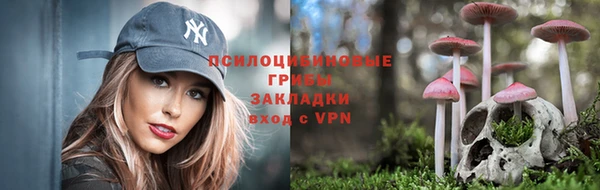 МДПВ Алзамай