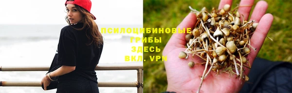 экстази Алексеевка
