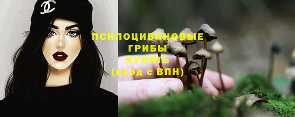МДПВ Алзамай